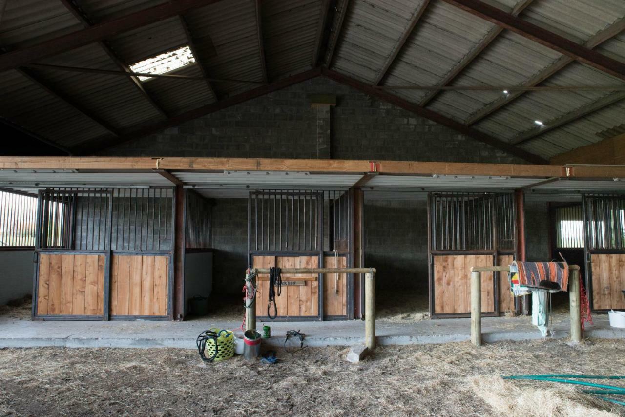 Boeren Biezen Bed Landelijk Villa Esterno foto