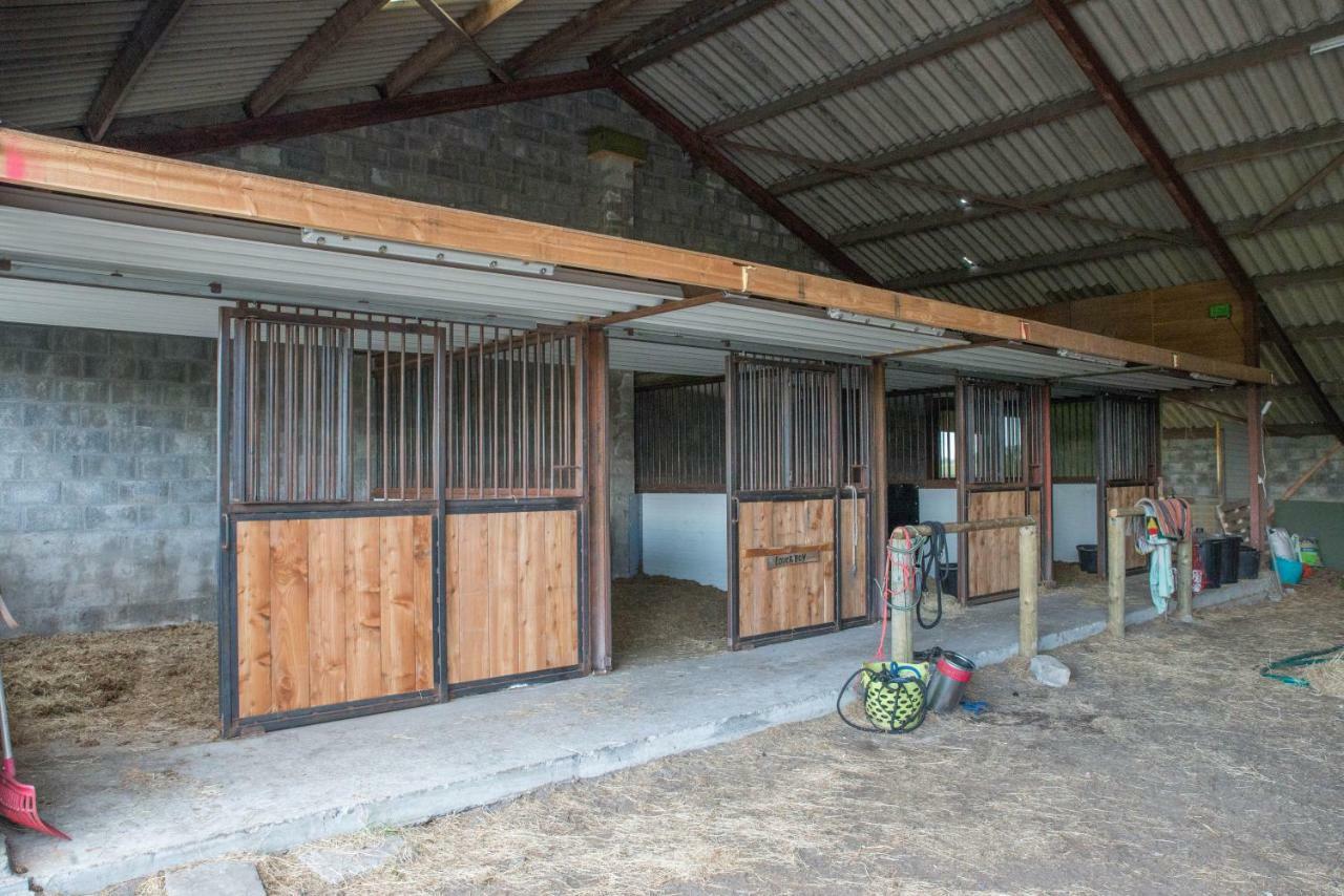 Boeren Biezen Bed Landelijk Villa Esterno foto