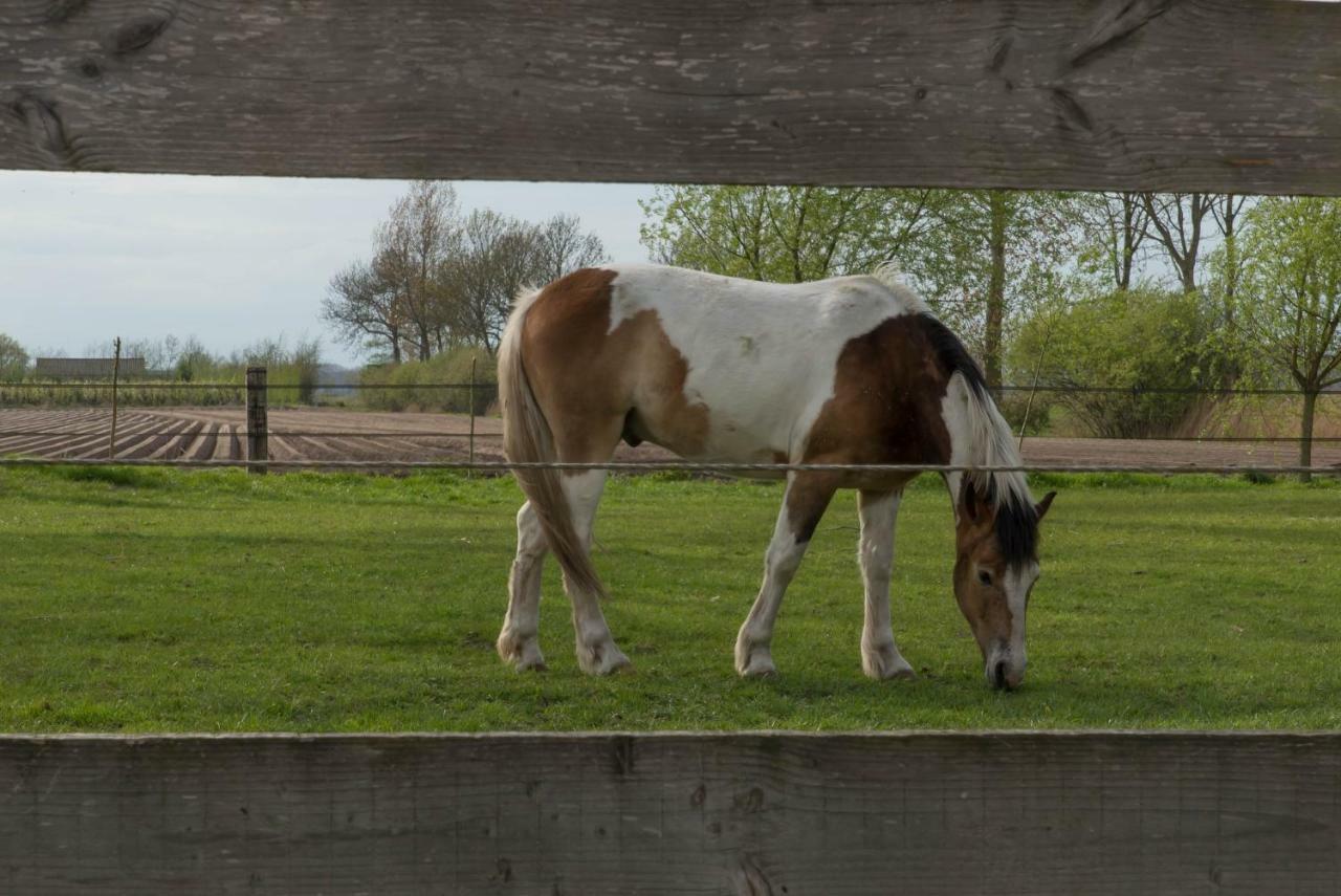 Boeren Biezen Bed Landelijk Villa Esterno foto