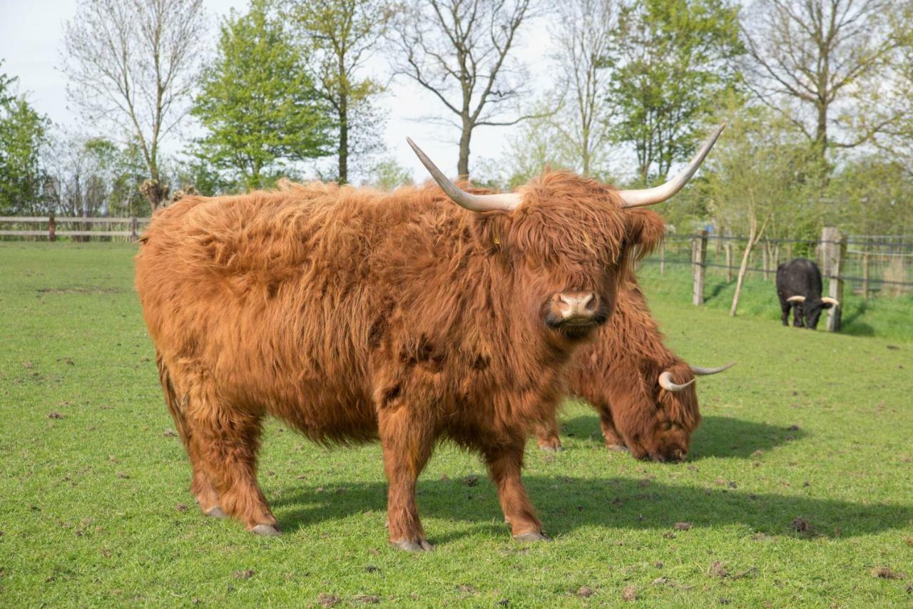 Boeren Biezen Bed Landelijk Villa Esterno foto