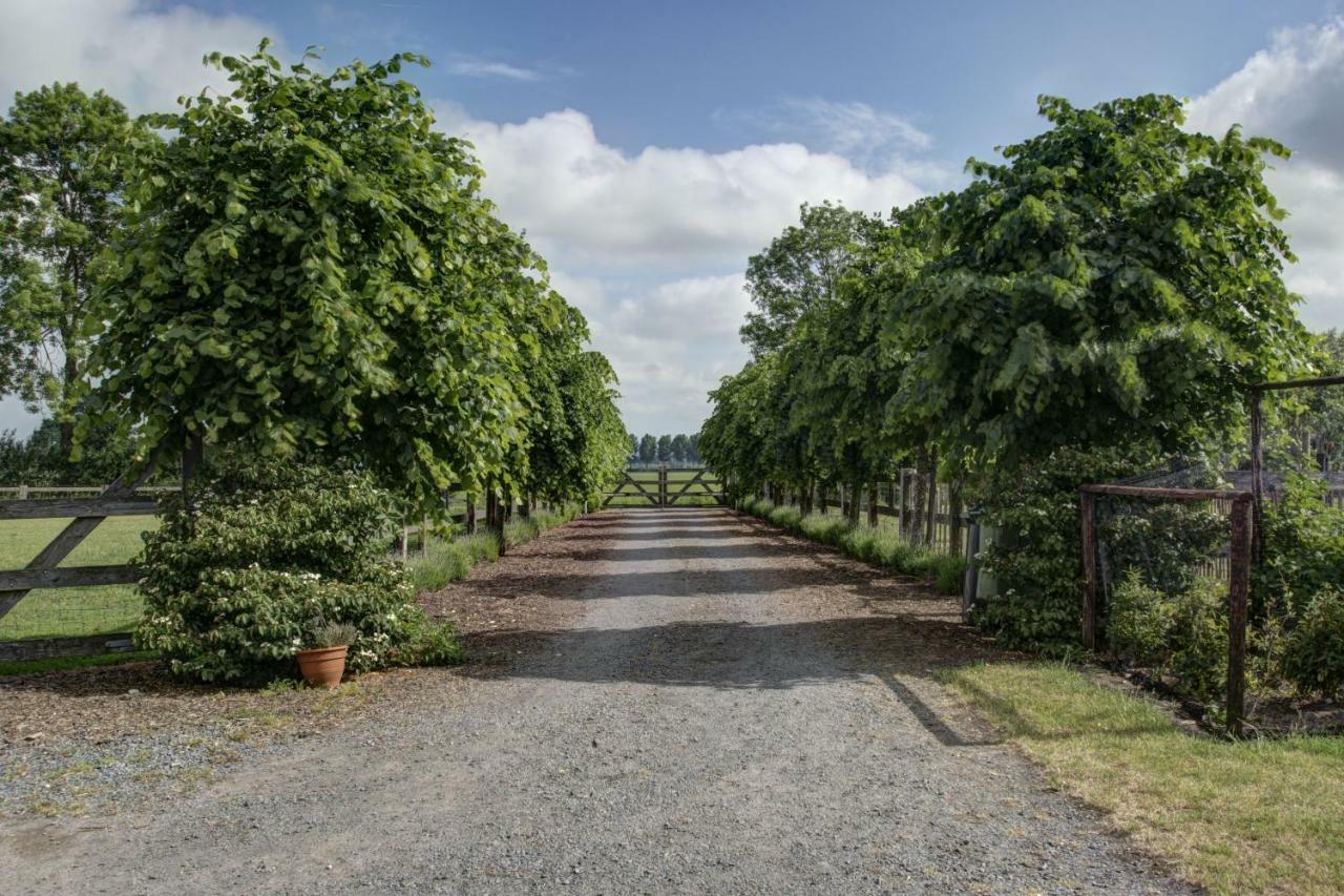 Boeren Biezen Bed Landelijk Villa Esterno foto