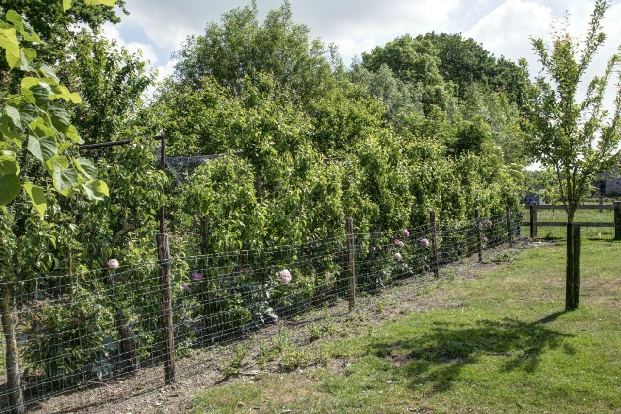 Boeren Biezen Bed Landelijk Villa Esterno foto