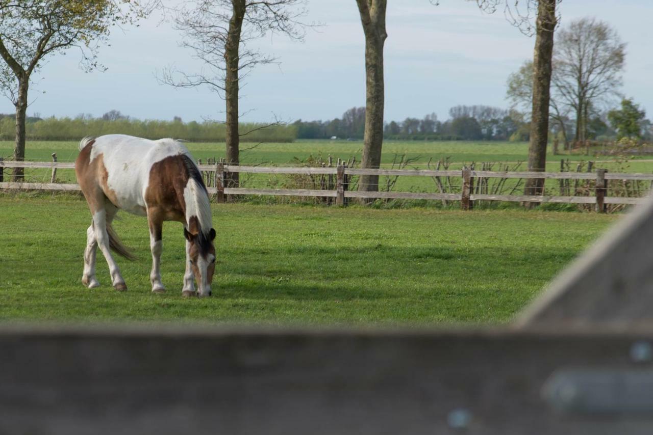 Boeren Biezen Bed Landelijk Villa Esterno foto